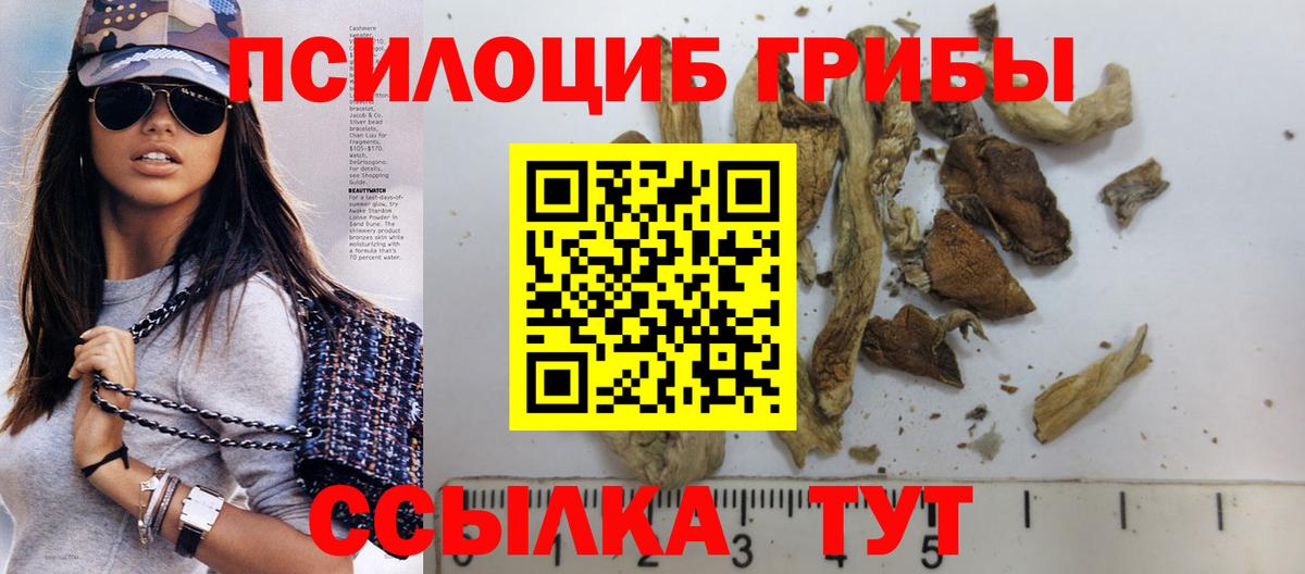 Псилоцибиновые грибы прущие грибы  Псилоцибиновые грибы Psilocybe  Беслан  Вход с VPN 