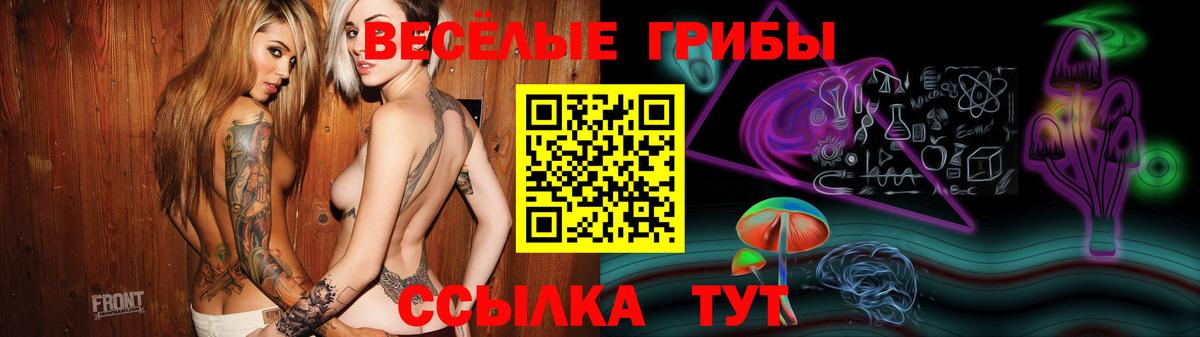 Галлюциногенные грибы мухоморы Беслан
